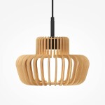 Фото 1 Подвесной светильник Maytoni MOD465PL-L12BK2