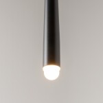 Фото 2 Подвесной светильник Maytoni MOD132PL-L6BK