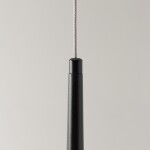 Фото 1 Подвесной светильник Maytoni MOD132PL-L6BK