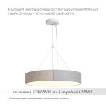 Фото 1 Подвесной светильник Freya FR5555PL-L30BGG