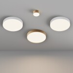 Фото 1 Потолочный светильник Technical C032CL-12W4K-RD-MG