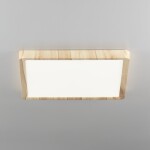Фото 3 CL738K242V Бейсик Клен Св-к Накл. LED 24W*Мульти