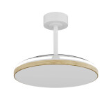Фото 1 9007 Люстра-вентилятор SLIM FAN