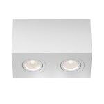 Фото 4 Потолочный светильник Technical C017CL-02W