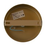 Фото 4 Настенный светильник (бра) Freya FR5124WL-01BS