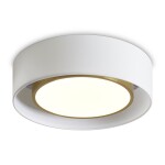 Фото 7 Потолочный светильник Freya FR6170CL-L52BS