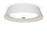 Фото Потолочный светильник Freya FR10013CL-L24W