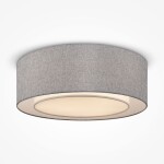 Фото 7 Потолочный светильник Maytoni MOD613CL-04GR