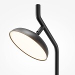 Фото 1 Настольный светильник Maytoni MOD451TL-L8B3K1