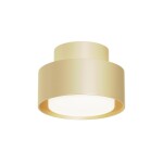 Фото 4 Потолочный светильник Technical C092CL-GX53-MG