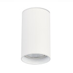 Фото 2 ST157.532.20 Светильник потолочный Белый LED 1*20W 3000K 1 600Lm Ra>90 60° IP44 D95xH150 220-265V Накладные светильники