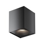 Фото 6 Потолочный светильник Technical C030CL-01B