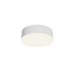 Фото 6 Потолочный светильник Technical C032CL-24W4K-RD-W