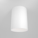 Фото 7 Потолочный светильник Technical C014CL-01W