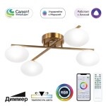 Фото 7 Потолочный светильник