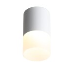 Фото 3 ST100.502.10 Светильник потолочный Белый LED 1*10W 3000K 780Lm Ra>80 120° D78xH135 170-240V Накладные светильники