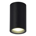 Фото SL9010.412.01 Светильник уличный потолочный ST-Luce черный GU10 1*50W TUBO
