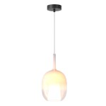 Фото 4 Подвесной светильник Maytoni MOD271PL-01W1