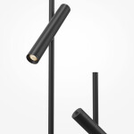 Фото 3 Напольный светильник (торшер) Maytoni MOD460FL-L6B3K