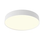 Фото 4 Потолочный светильник Technical C032CL-45W3K-RD-W