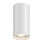 Фото 4 Потолочный светильник Technical C052CL-01W