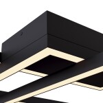 Фото 1 Потолочный светильник Maytoni MOD016CL-L80BK