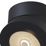 Фото 4 Потолочный светильник Technical C023CL-L20B