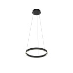 Фото Подвесной светильник Maytoni MOD058PL-L22BK
