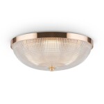 Фото Потолочный светильник Maytoni C046CL-03G
