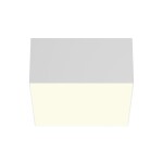 Фото Потолочный светильник Technical C032CL-12W3K-SQ-W