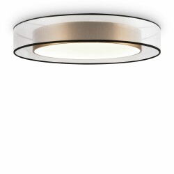 Фото Потолочный светильник Freya FR6005CL-L48G