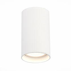 Фото ST157.532.20 Светильник потолочный Белый LED 1*20W 3000K 1 600Lm Ra>90 60° IP44 D95xH150 220-265V Накладные светильники