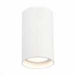 Фото ST157.542.20 Светильник потолочный Белый LED 1*20W 4000K 1 600Lm Ra>90 60° IP44 D95xH150 220-265V Накладные светильники