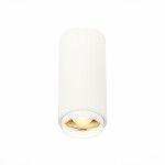 Фото ST600.532.10 Светильник потолочный Zoom Белый LED 1*10W 3000K 1 000Lm Ra>80 15-60° IP20 D59xH130 170 Накладные светильники