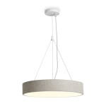Фото Подвесной светильник Freya FR5555PL-L30BGG