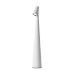 Фото Настольный светильник Freya FR6188TL-L3W