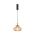 Фото Подвесной светильник Maytoni MOD465PL-L12BK2