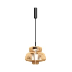 Фото Подвесной светильник Maytoni MOD465PL-L12BK1