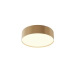 Фото 7 Потолочный светильник Technical C032CL-24W3K-RD-MG