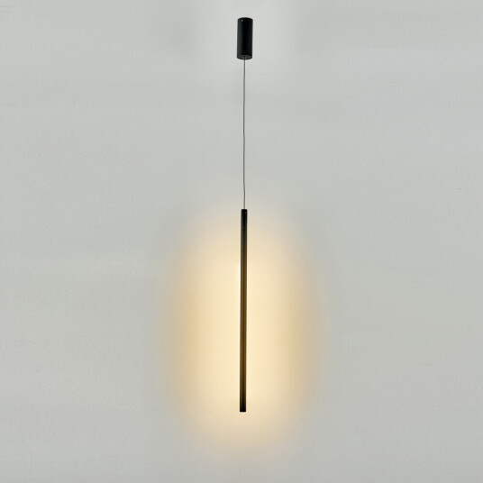 Фото 8483 Подвесной светильник TORCH