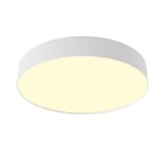 Фото 7 Потолочный светильник Technical C032CL-45W2.7K-RD-W