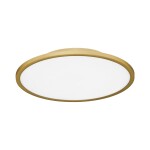 Фото SLE1811-202-01 Светильник потолочный Золотистый/белая LED 1*42W 4000K TASSEN