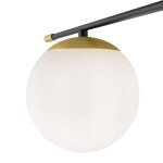 Фото 3 Потолочный светильник Maytoni MOD048CL-06G