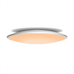 Фото 7975 Потолочный светильник SLIM