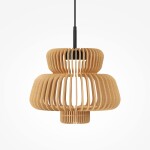 Фото 1 Подвесной светильник Maytoni MOD465PL-L12BK1