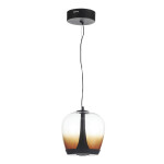 Фото 3 SL6014.413.01 Светильник подвесной ST-Luce Черный/Коричневый, Черный LED 1*17W 3000K RIPPLE