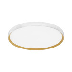 Фото SLE1810-502-01 Светильник потолочный Белый, Золотистый/белая LED 1*42W 4000K HELST
