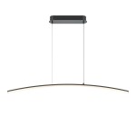 Фото 3 Подвесной светильник Maytoni MOD243PL-L18BK