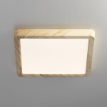 Фото 1 CL738K182V Бейсик Клен Св-к Накл. LED 18W*Мульти