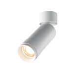 Фото 4 Потолочный светильник Technical C055CL-L12W3K-Z-W